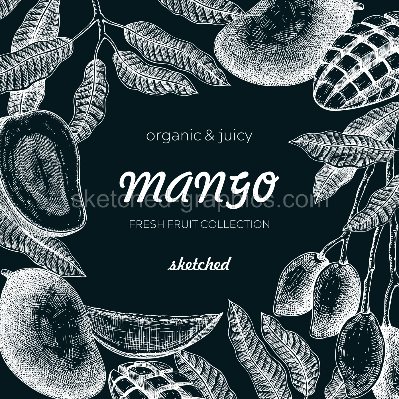 Tropical fruit frame on chalkboard. Ripe mango sketch. Hand drawn vector illustration. Packaging, menu template, juice design. Exotic plants background. NOT AI generated. Illustration